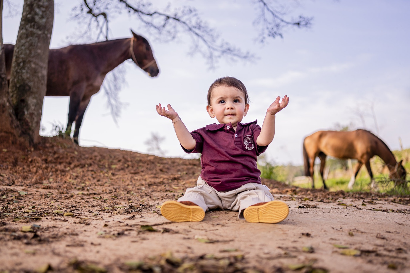 Sessão Anita 01 Ano